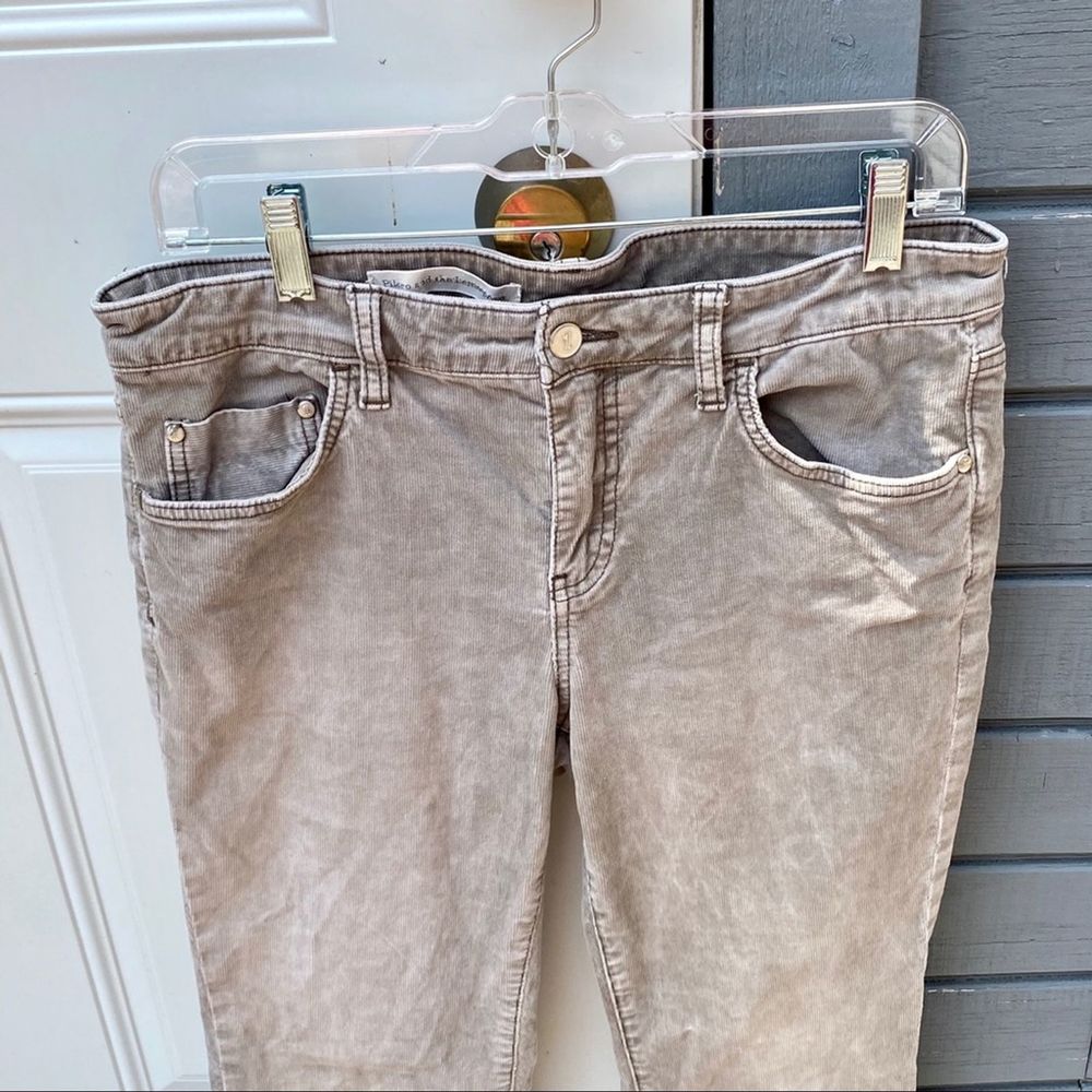 Pilcro and the Letterpress • Greige Cordoroy Pants 30 - Picture 16 of 16